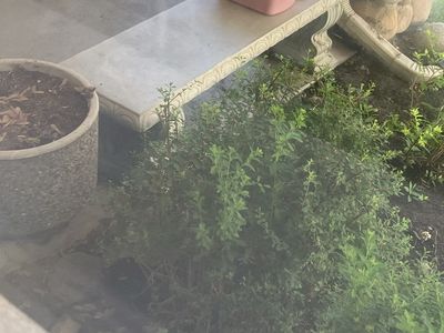 Vintage Concrete Garden Benches - Weathered Stone Garden Seating