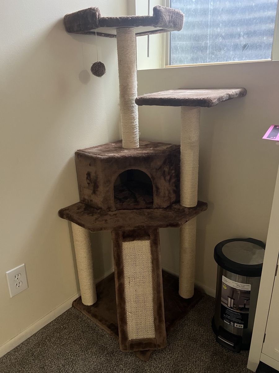 FREE Multi-Level Brown Cat Condo & Tree with Scratching Posts & Perches