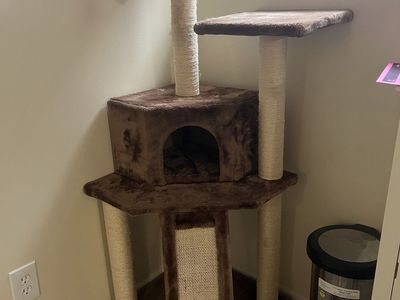 FREE Multi-Level Brown Cat Condo & Tree with Scratching Posts & Perches