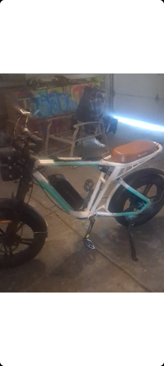 Electric bike