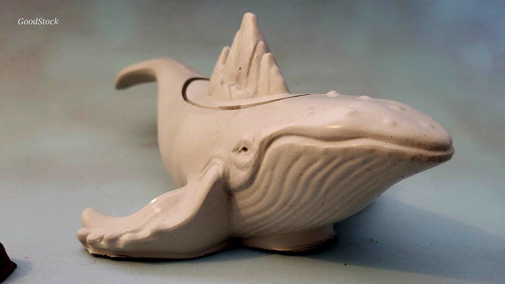 Whale (•̩̥̀‿•̩̥̀) Blue trinkt box plantr mountain