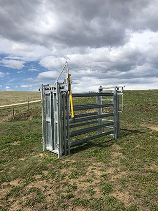 Cattle Hobby Chute & Heavy Duty Chute with Vet Area