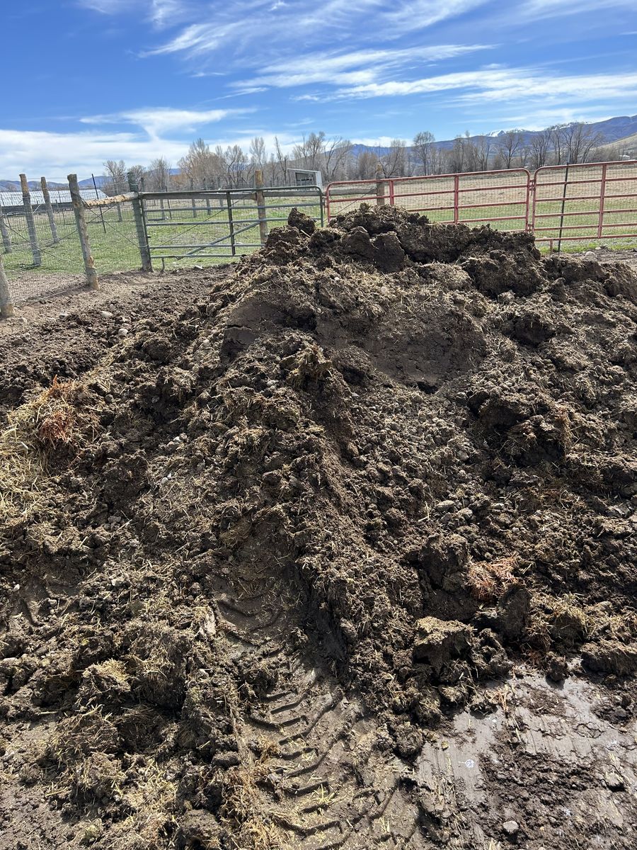 Composted Manure