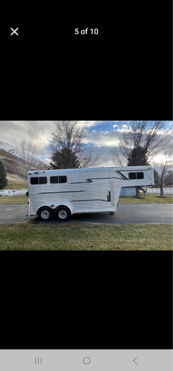 1999 4 star 2 horse