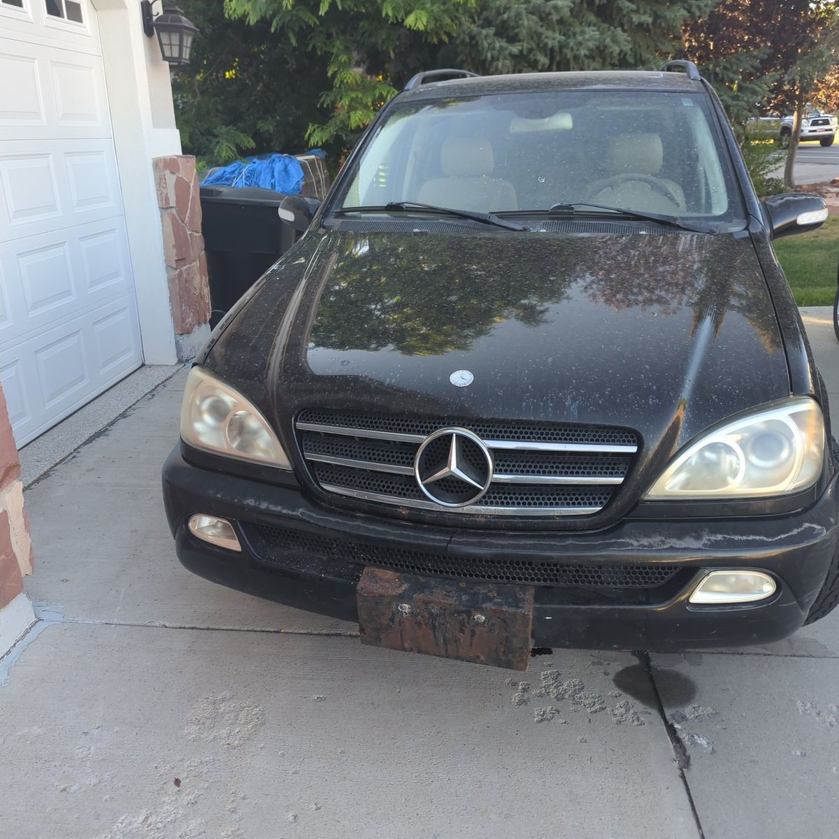2003 Mercedes-Benz M-Class 