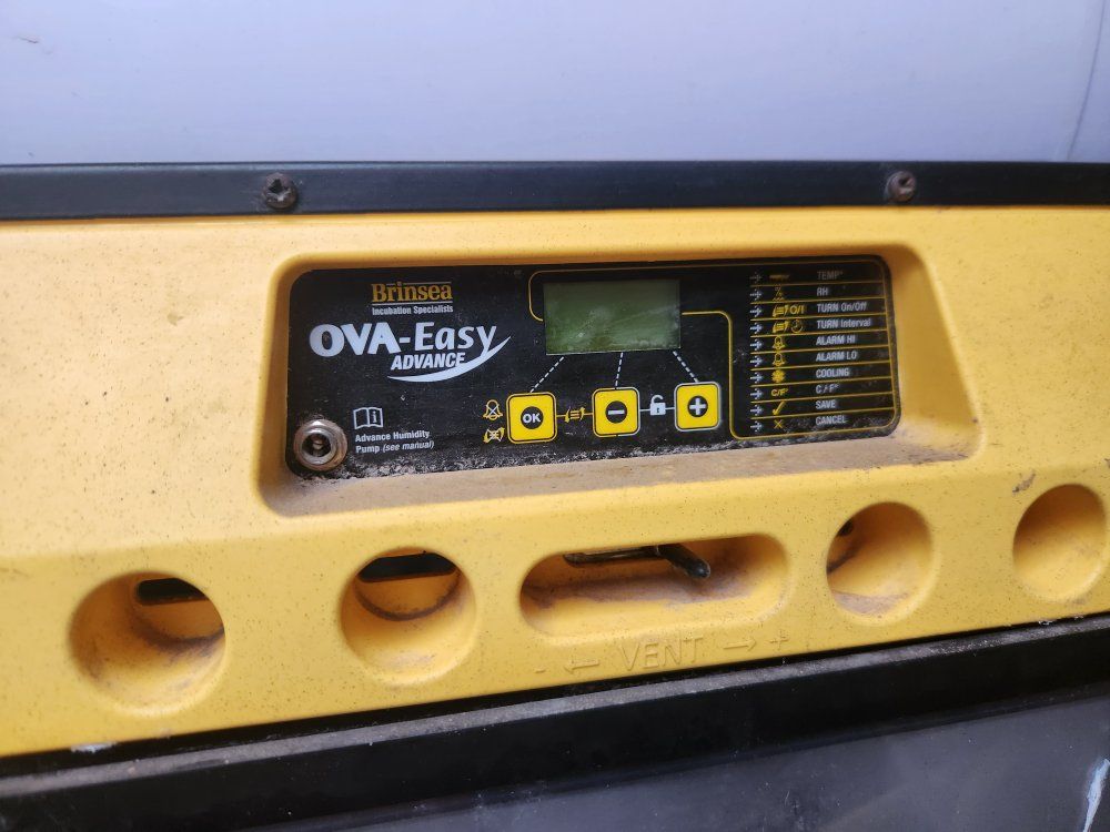 Brinsea Ova-Easy cabinet egg incubator 380