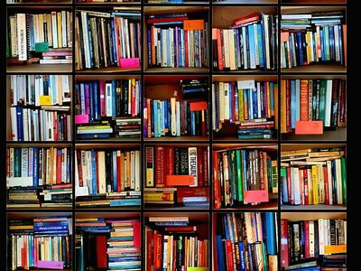 Massive Book Collection – 350+ Books – Bulk Sale Only