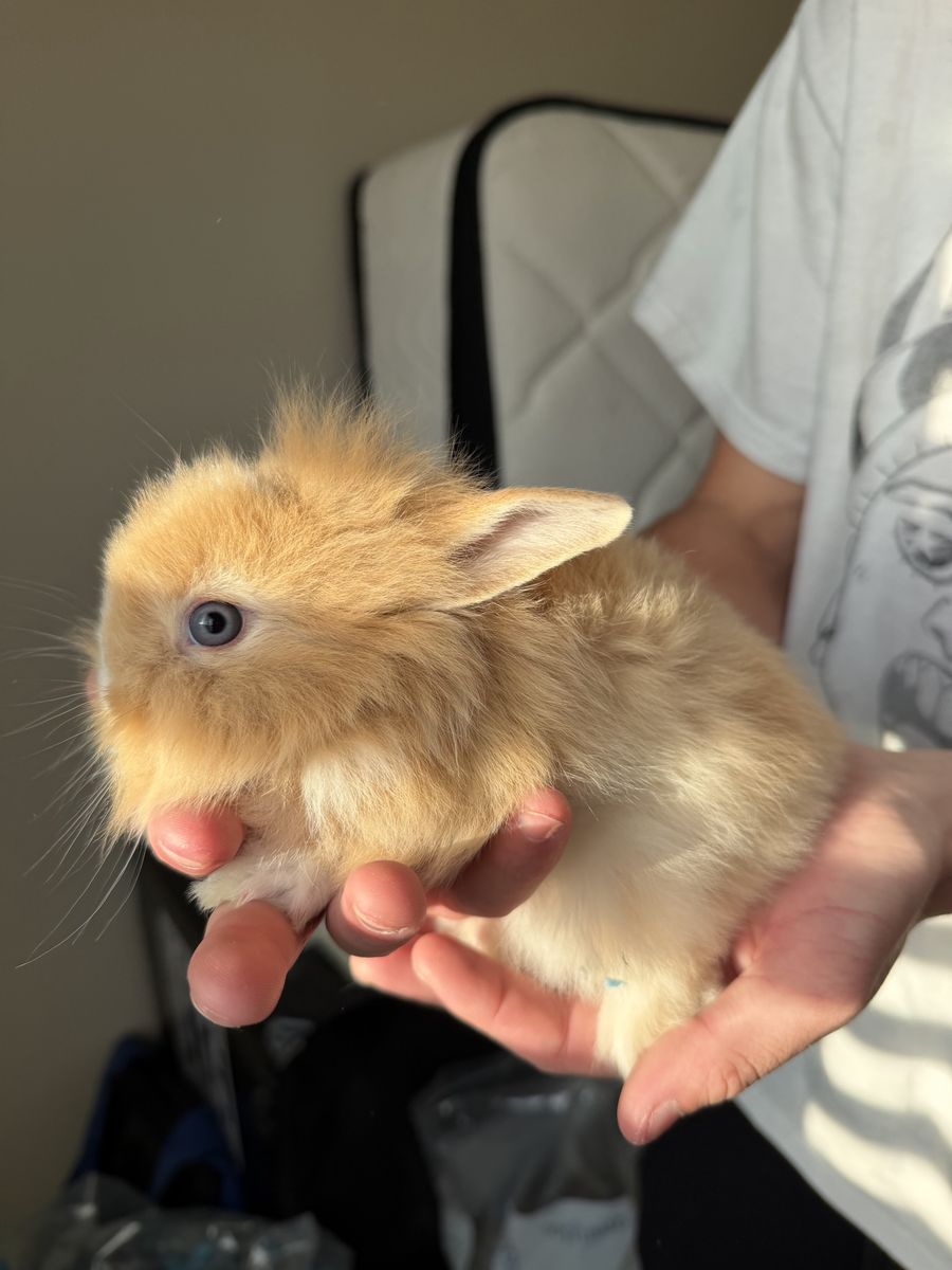 Main image 2