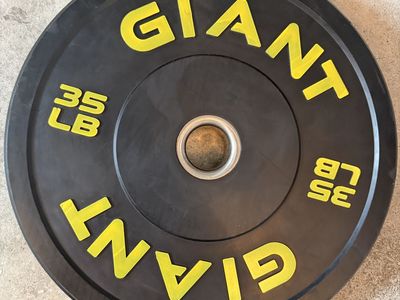 35 LB Rubber Plates
