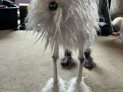 Halloween Skeleton Dog