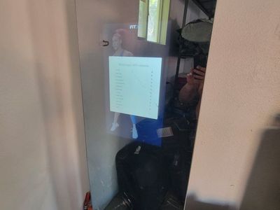 pro form mirror