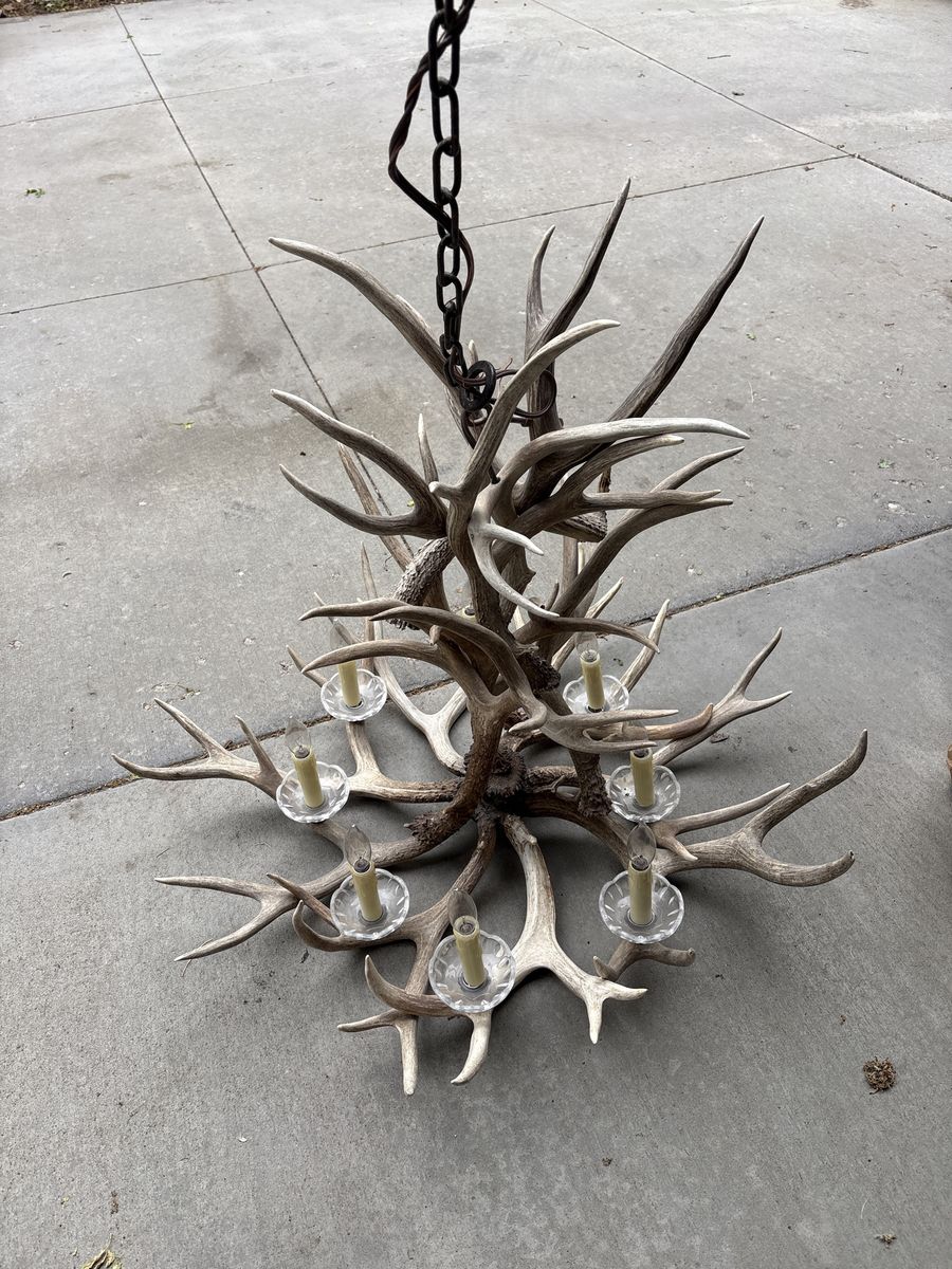 Rustic Real Antler Chandelier 8-Light Lodge Cabin Decor Unique Lighting Fixture