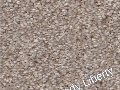 80 ounce SHAW carpet only $1.10 sq ft