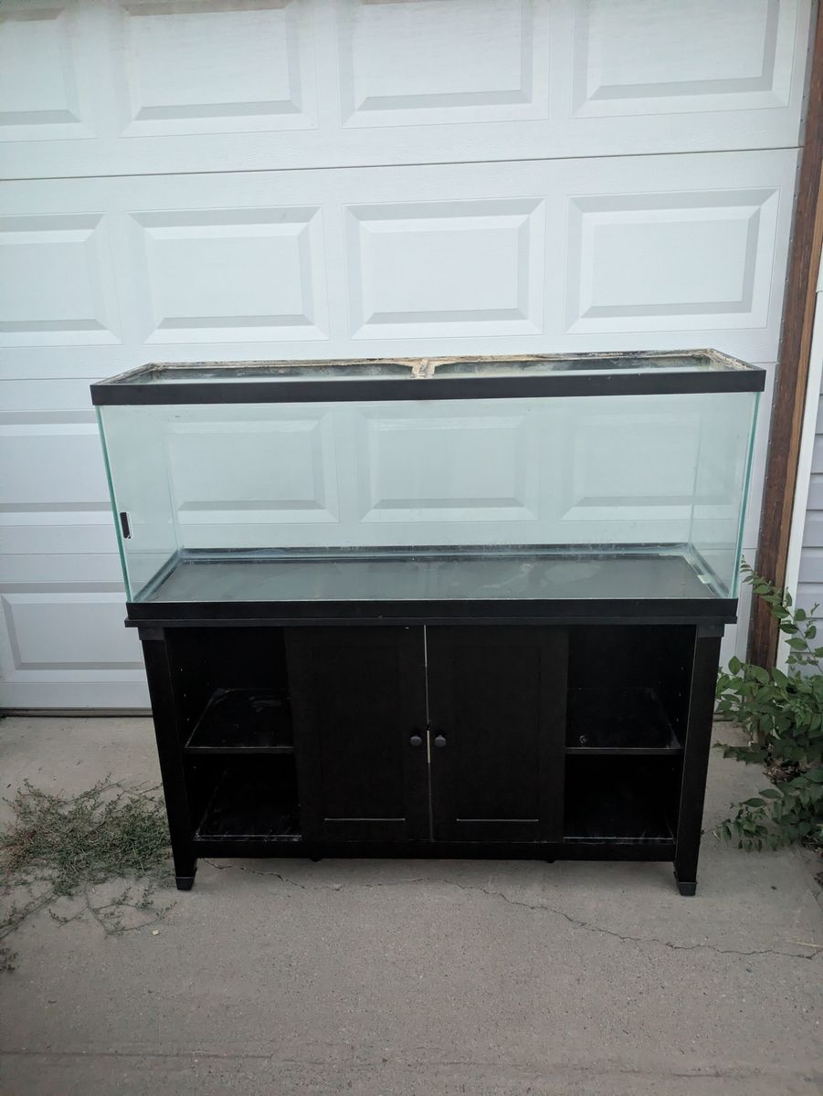 50 gallon aquarium with stand 