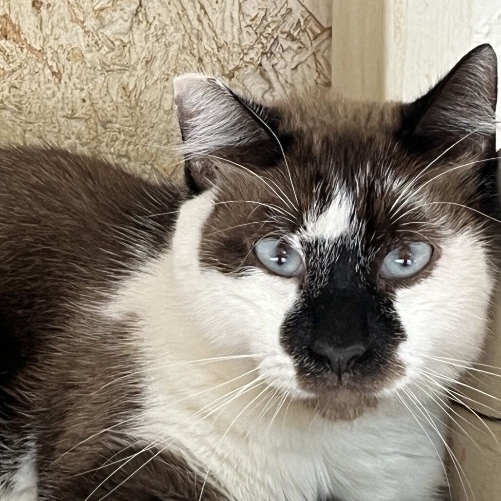 Hello my name is Rockefeller