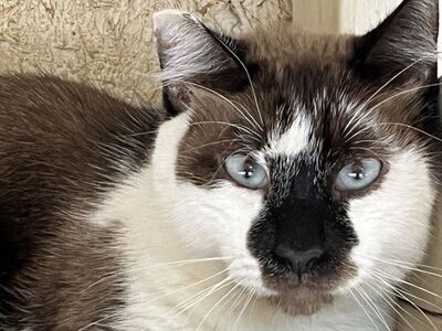 Hello my name is Rockefeller