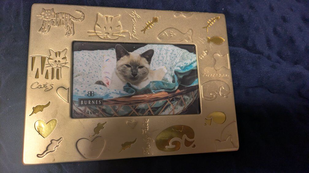 Photo Album
