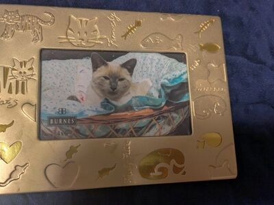 Photo Album