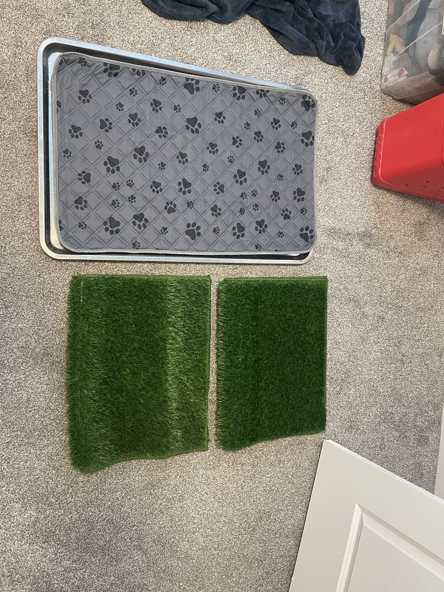 Pawaboo Dog Grass Pad with Tray - Large 35" x 24" Stainless Steel Litter Box with 2 Grass Pads & Pee Pad