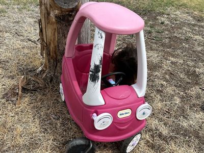 Little Tikes Pink Princess Cozy Coupe Ride-On Toy