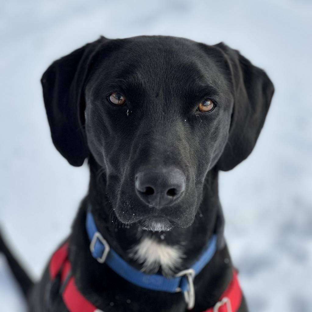 Hello my name is Finn