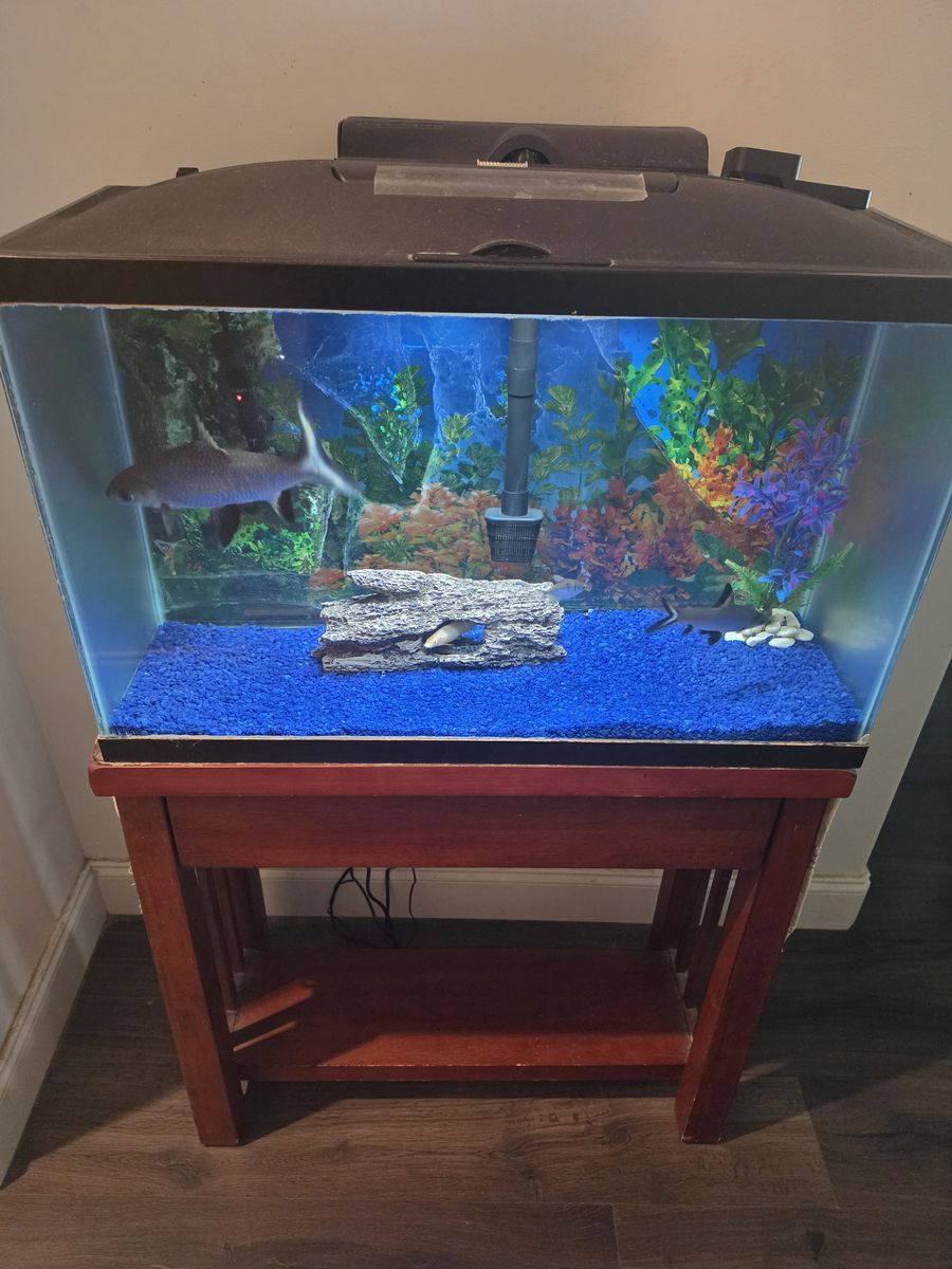 Complete Fish Tank Setup with Stand and Accessories