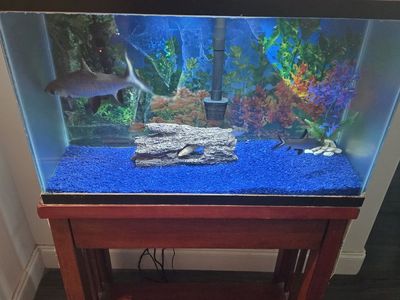 Complete Fish Tank Setup with Stand and Accessories