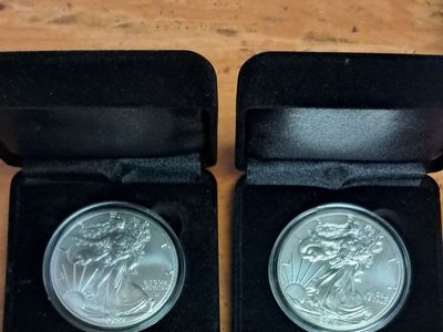 American Silver Eagles in Display Cases