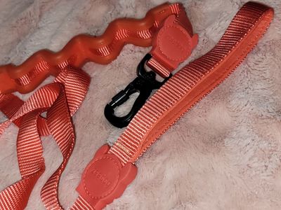 Zee.Dog Neon Coral Ruff Dog Leash 2.0 (Sm. 4FT)