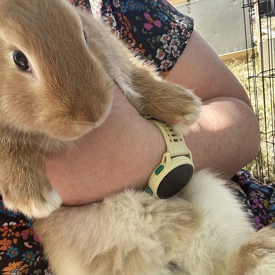 13 week old New Zealands very friendly