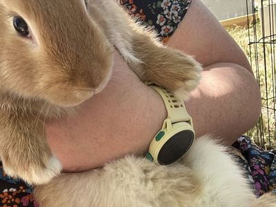 13 week old New Zealands very friendly
