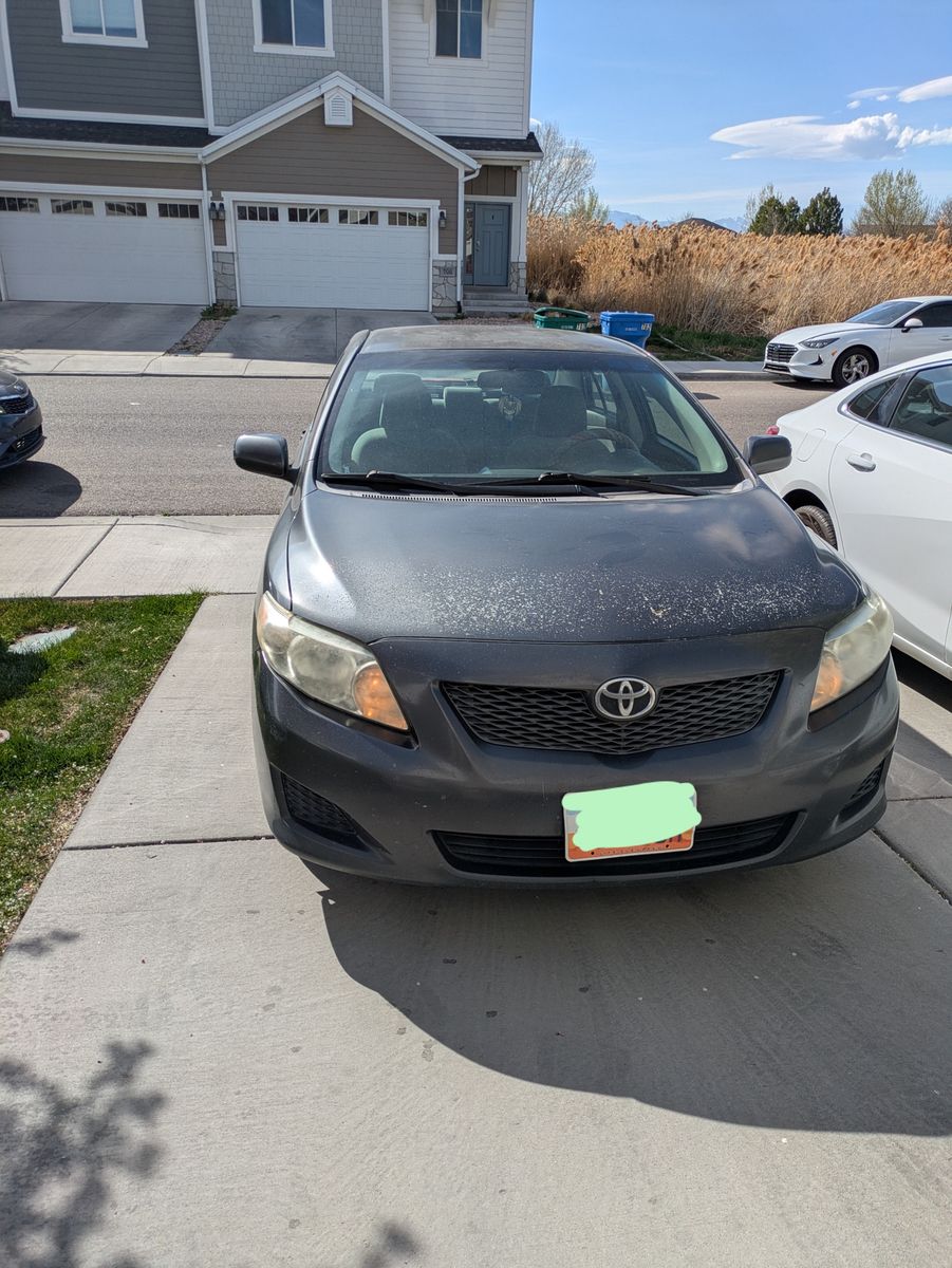 2009 TOYOTA COROLLA LE