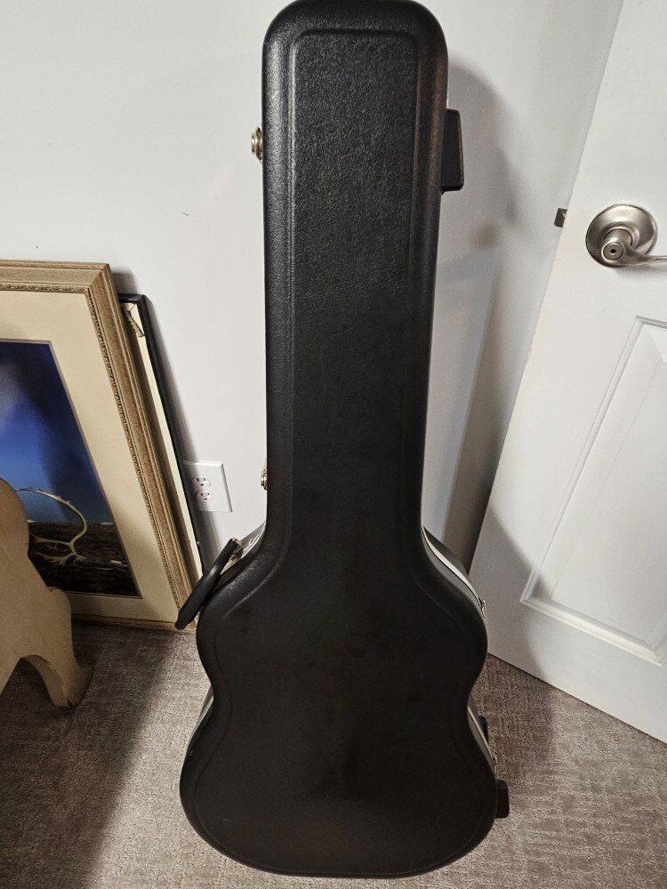 Roadrunner guitar case
