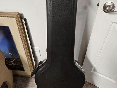 Roadrunner guitar case