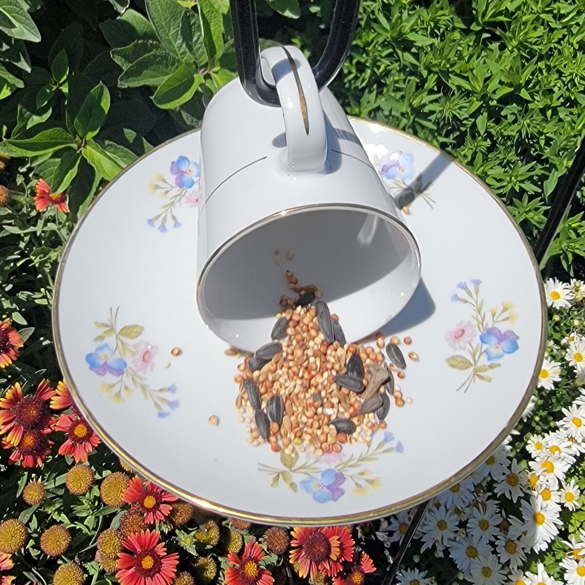 Large Teacup Bird Feeder w/4ft Hook| Garden Decor