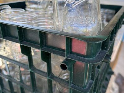 CANNING JARS, PINT SIZE