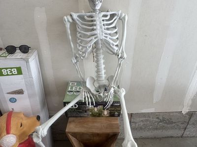 Skeleton Decoration - 5 feet