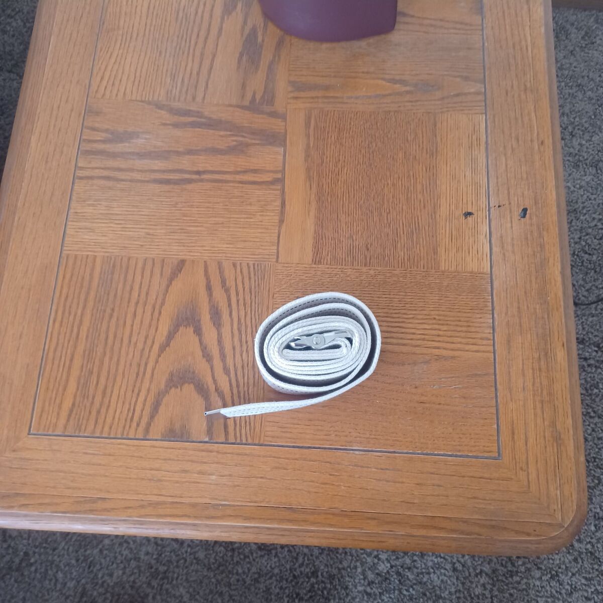 Transfer and gait belt