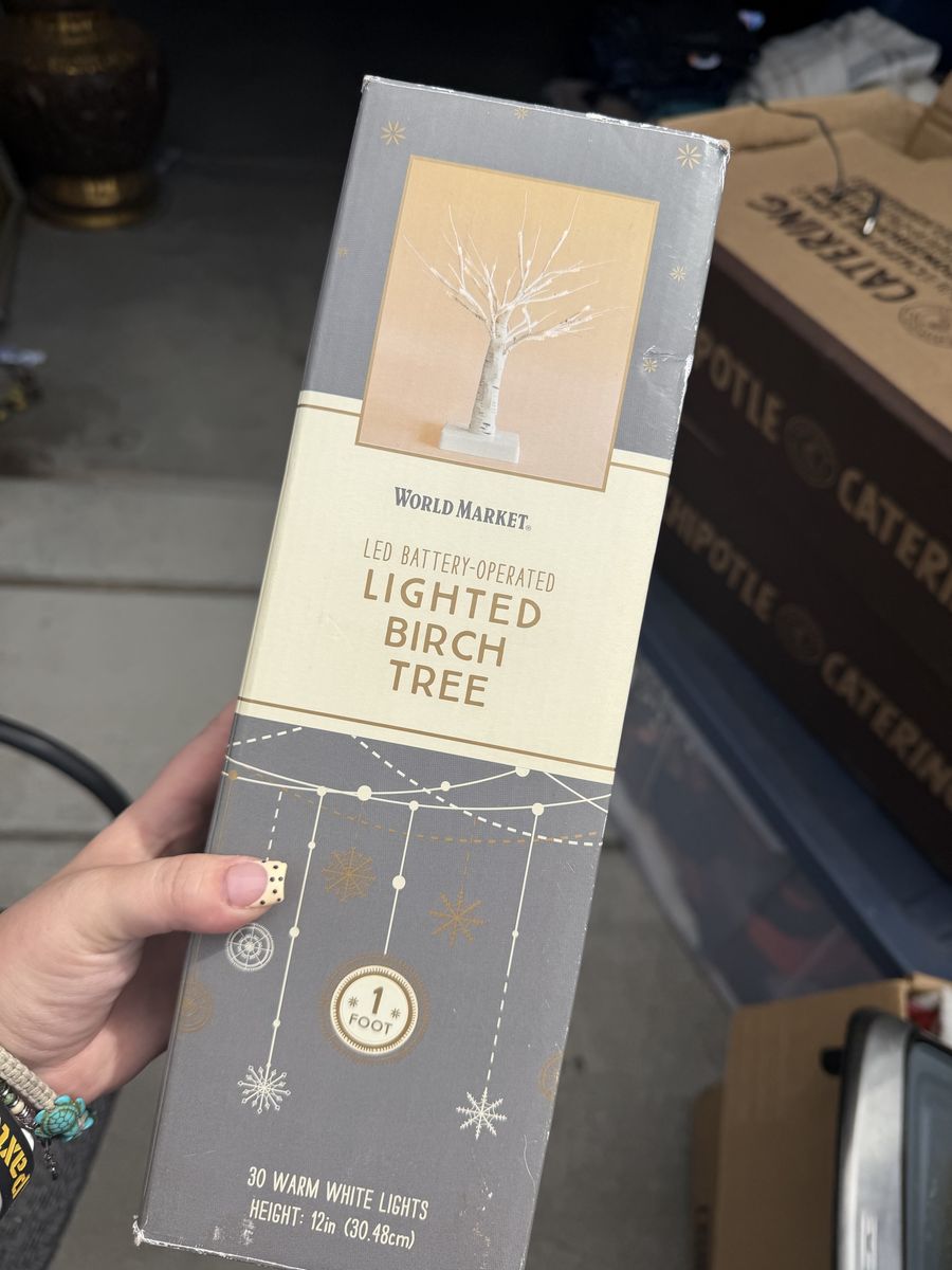 World Market LED BATTERY-OPERATED LIGHTED BIRCH TREE