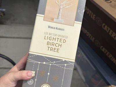 World Market LED BATTERY-OPERATED LIGHTED BIRCH TREE
