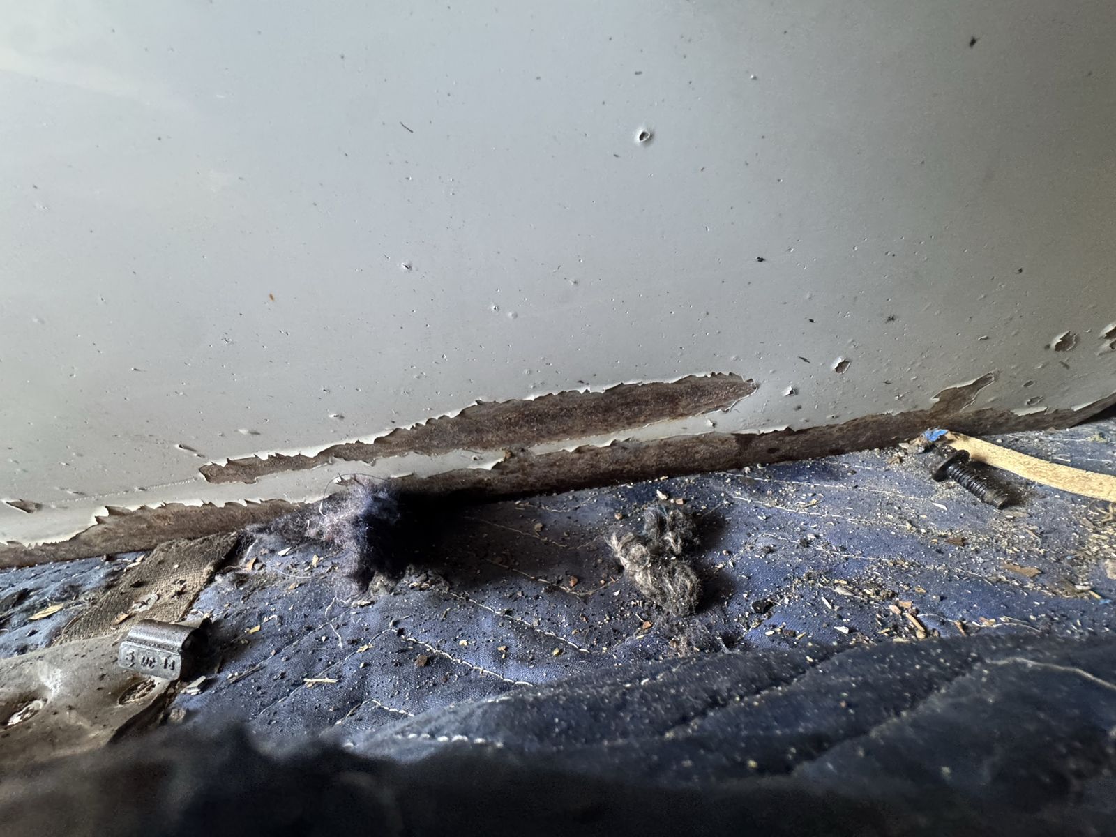 Main image 6