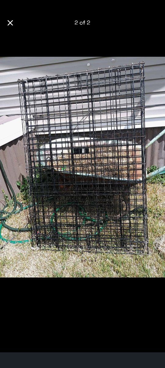xl/xxl dog crate