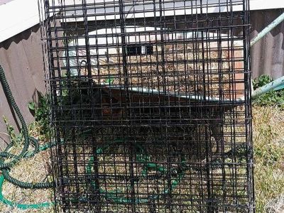 xl/xxl dog crate