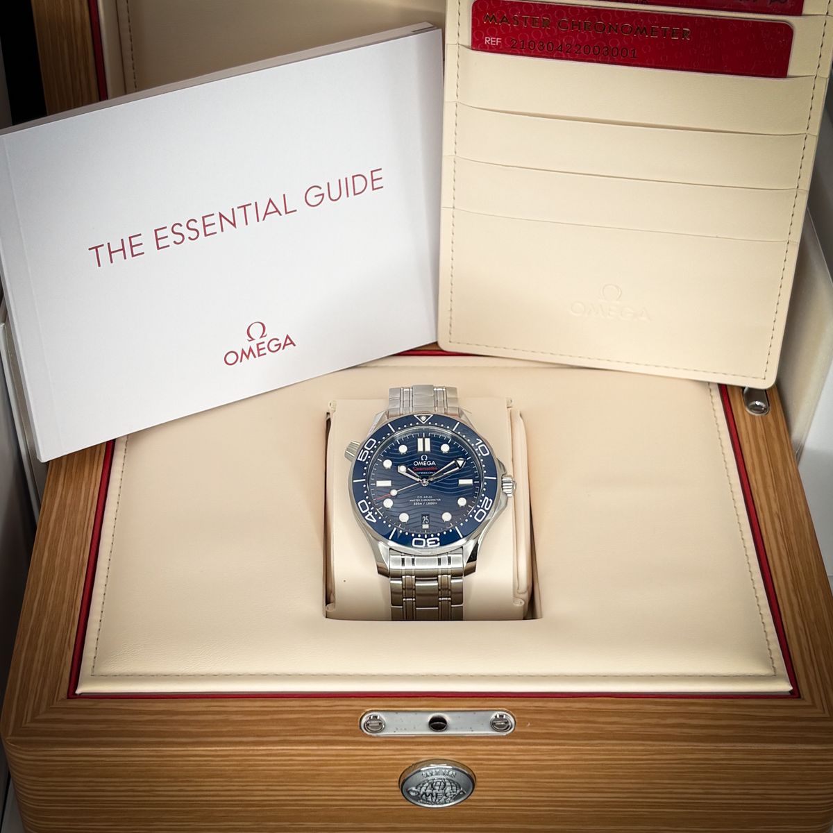 2025 Unworn Omega Seamaster Professional  210.30.42.20.03.001