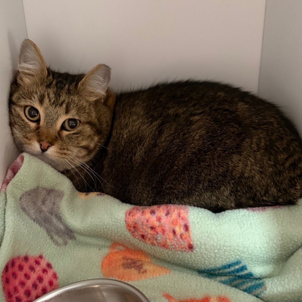 Hello my name is Slidell