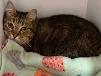 Hello my name is Slidell