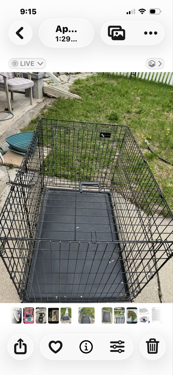 Xtra large dog kennel