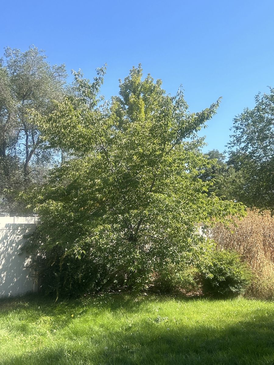 Main image 11