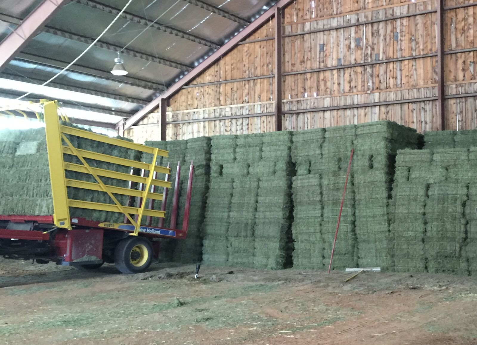 High-Quality Small Bale Alfalfa Hay $10