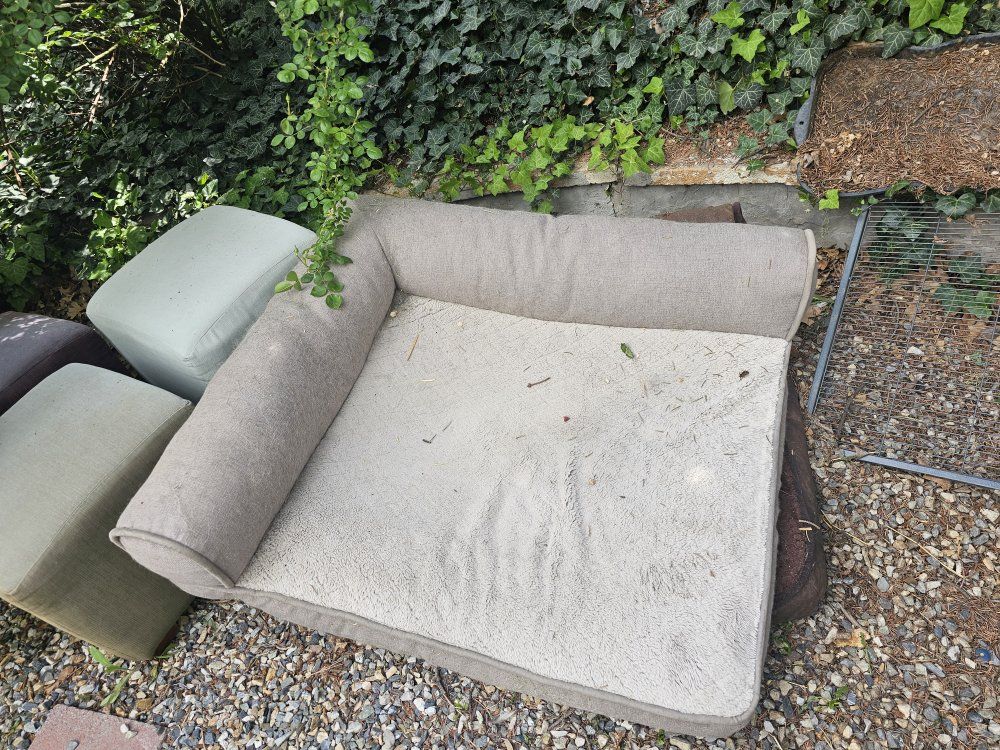Large Dog Bed